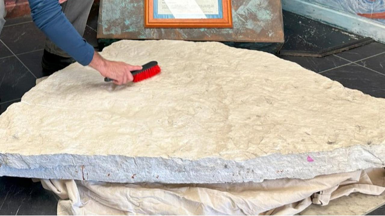Jejak Kaki Misterius Ditemukan di Sekolahan Australia, Ternyata Milik Hewan Purba Pemakan Tumbuhan
