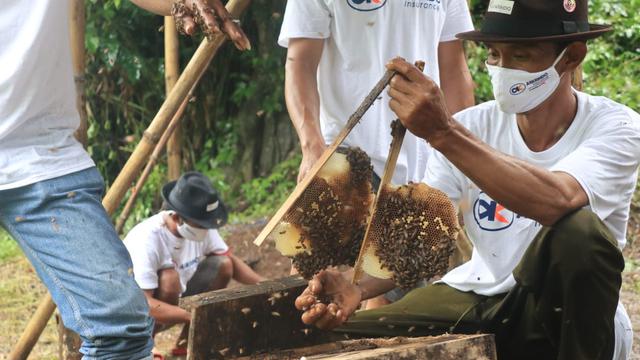 Peternak lebah hutan yang tergabung dalam Kelompok Tani Hutan (KTH) Alam Roban di Desa Kedawung, Batang, Jawa Tengah
