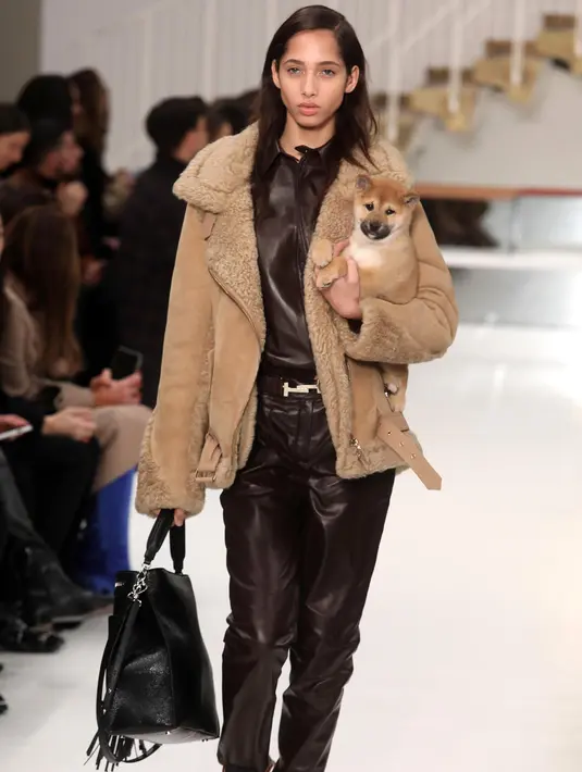 Seorang model menggendong anak anjing saat memamerkan rancangan Tod's di Milan Fashion Week, Milan, Italia, Jumat (23/2). Selain Gigi Hadid, model Tod's lainnya juga membawa anak anjing saat tampil di Milan Fashion Week. (Matteo Bazzi/ANSA via AP)