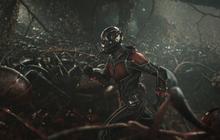 ANT-MAN' sukses libas 'minions' di pemasukan minggu pertama as