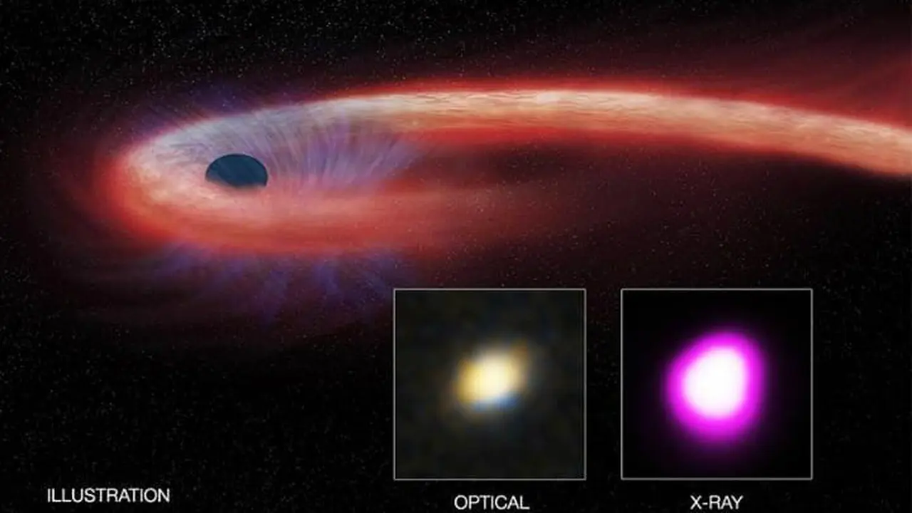 Black Hole