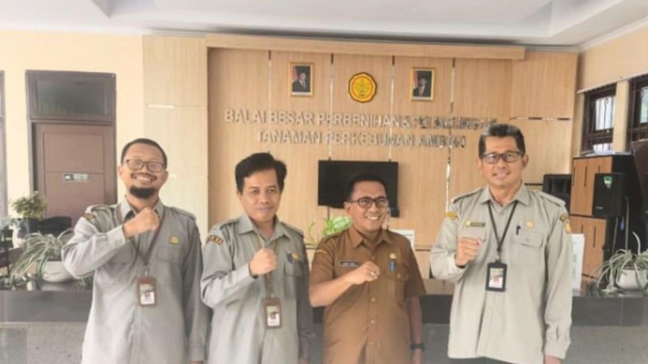 BRMP Maluku Kawal Ketat Program Hilirisasi Perkebunan Maluku Tahun 2026