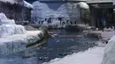 Pengunjung menyaksikan penguin berenang di Pusat Konservasi Penguin Polk di Kebun Binatang Detroit, 16 Februari 2022. Pusat Konservasi Penguin Terbesar di Kebun Binatang Detroit dibuka kembali lebih dari dua tahun setelah ditutup untuk memperbaiki waterproofing yang rusak. (AP Photo/Paul Sancya)