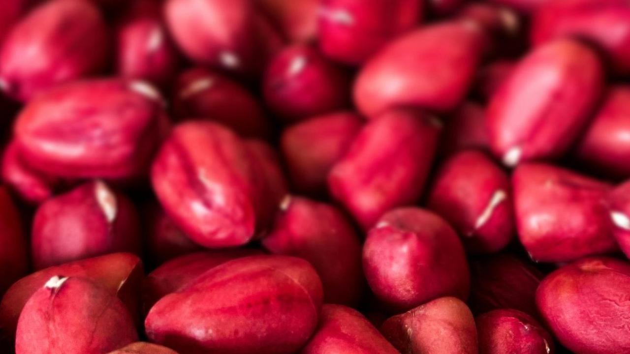 4. Kacang Merah