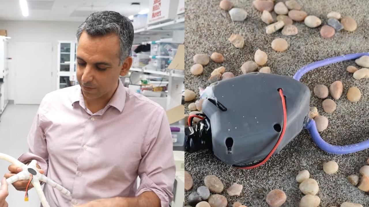 Robot Unik Mirip Makhluk Aneh Berusia 450 Juta Tahun