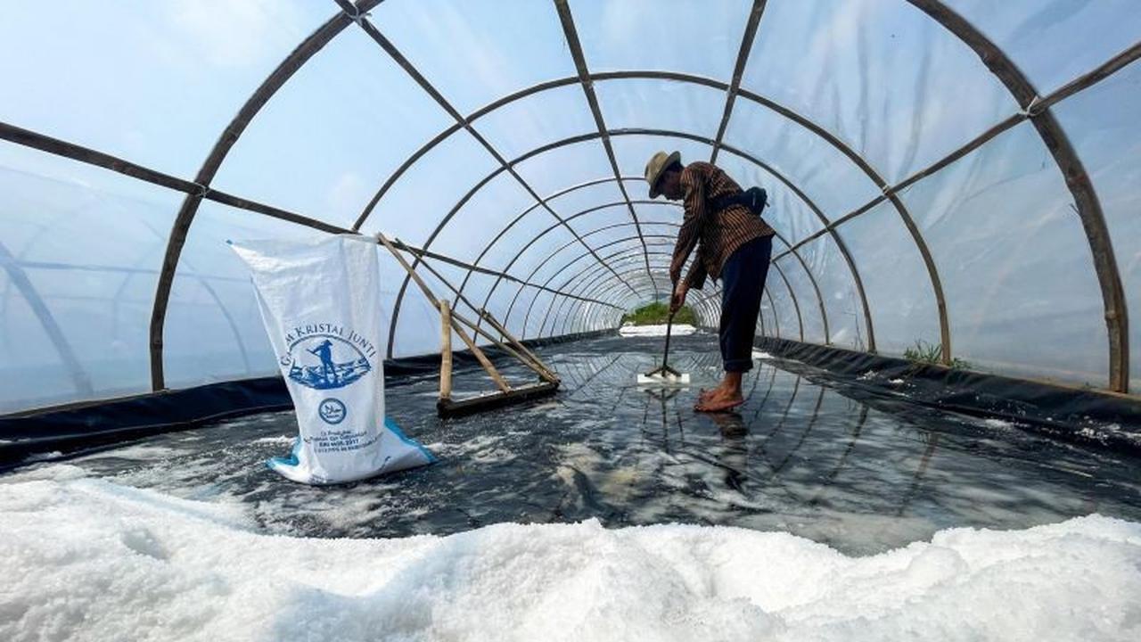 Inovasi Garam Kristal Indramayu: Petani Juntinyuat Panen Melimpah dengan Teknologi Modern