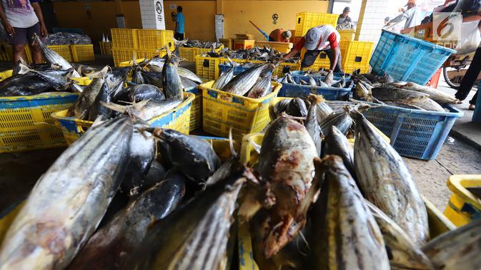 Nelayan memindahkan ikan laut hasil tangkapan di Pelabuhan Muara Angke, Jakarta, Kamis (26/10). Menurut Kementerian Kelautan dan Perikanan (KKP), ekspor perikanan naik 7,21 persen dibanding periode yang sama tahun 2017. (Liputan6.com/Angga Yuniar)