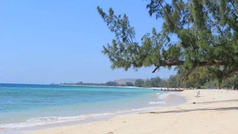 Keindahan 5 Pantai di Sumba Timur yang Hari ini Diguncang Gempa