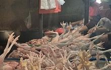 Harga Ayam Potong Naik Usai Iduladha, Pedagang di Pasar Bogor Keluhkan Turunnya Konsumen hingga 50 Persen