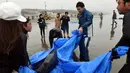 Lebih dari 130 lumba-lumba berkepala ikan paus (Pephonocephala Electra) terdampar di pantai Hokota, Jepang, Jumat (10/4/2015). Sejumlah warga berusaha menyelamatkan ikan paus yang terdampar dipinggir pantai Hokota. (AFP PHOTO/Toshifumi Kitamura)