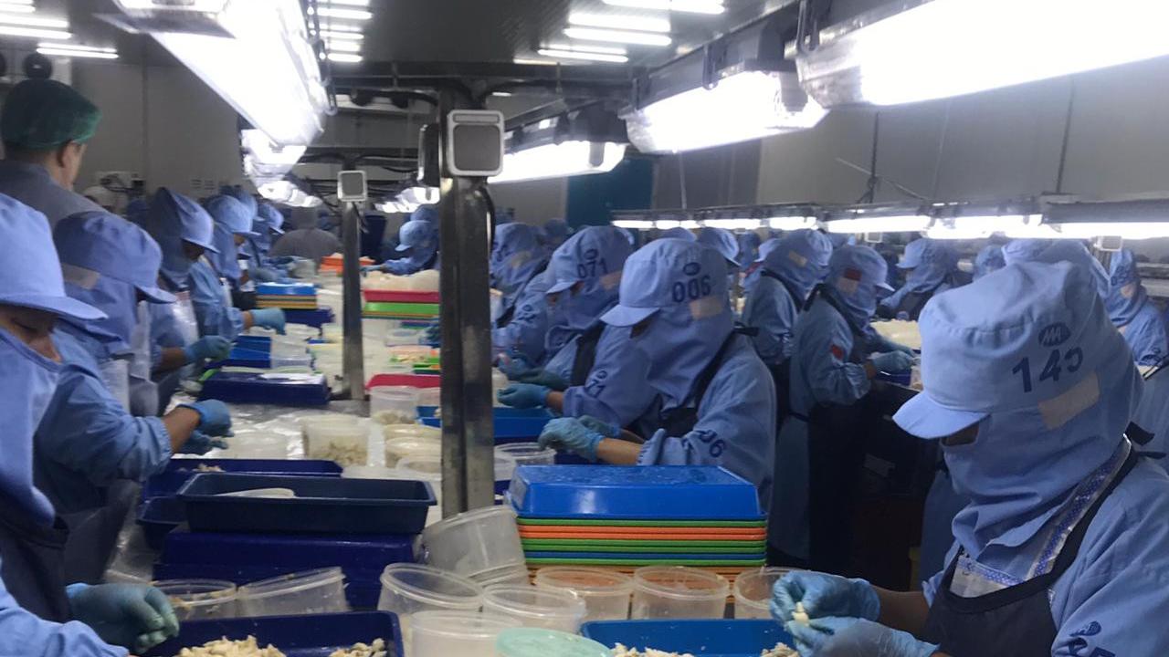 Pekerja PT Morenzo Abadi Perkasa