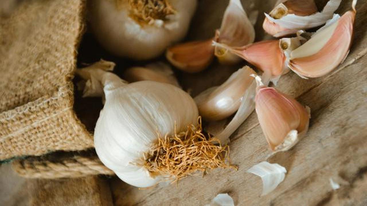 bawang putih dapat dijadikan antibakteri dan antivirus alami.