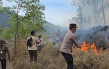 Dampak Kebakaran Hutan Konservasi Kintamani&nbsp;
