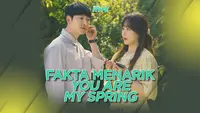 Fakta Menarik You Are My Spring