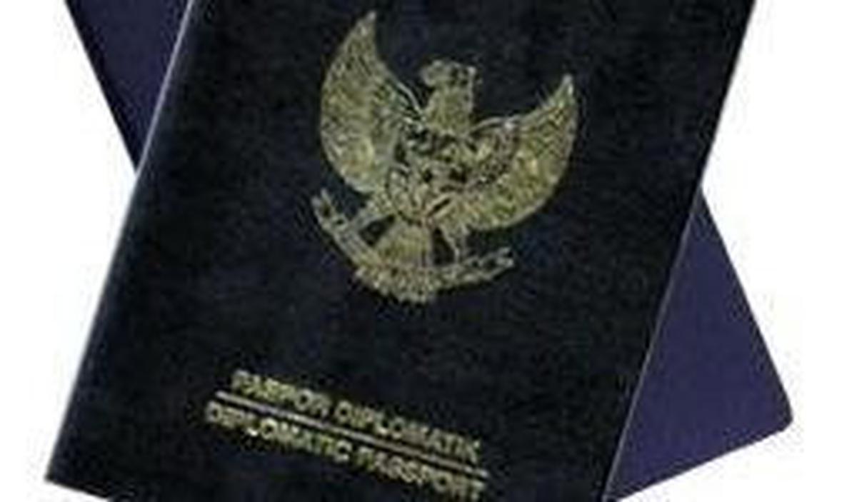 Setelah menjadi Duta Besar (Dubes) Indonesia untuk Belgia dan Luksemburg, karier Laili kian menanjak.<br>