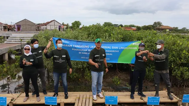 Bantu Wujudkan Lingkungan Lebih Baik PNM Tanam 10.000 Mangrove di Desa Ketapang, Tangerang