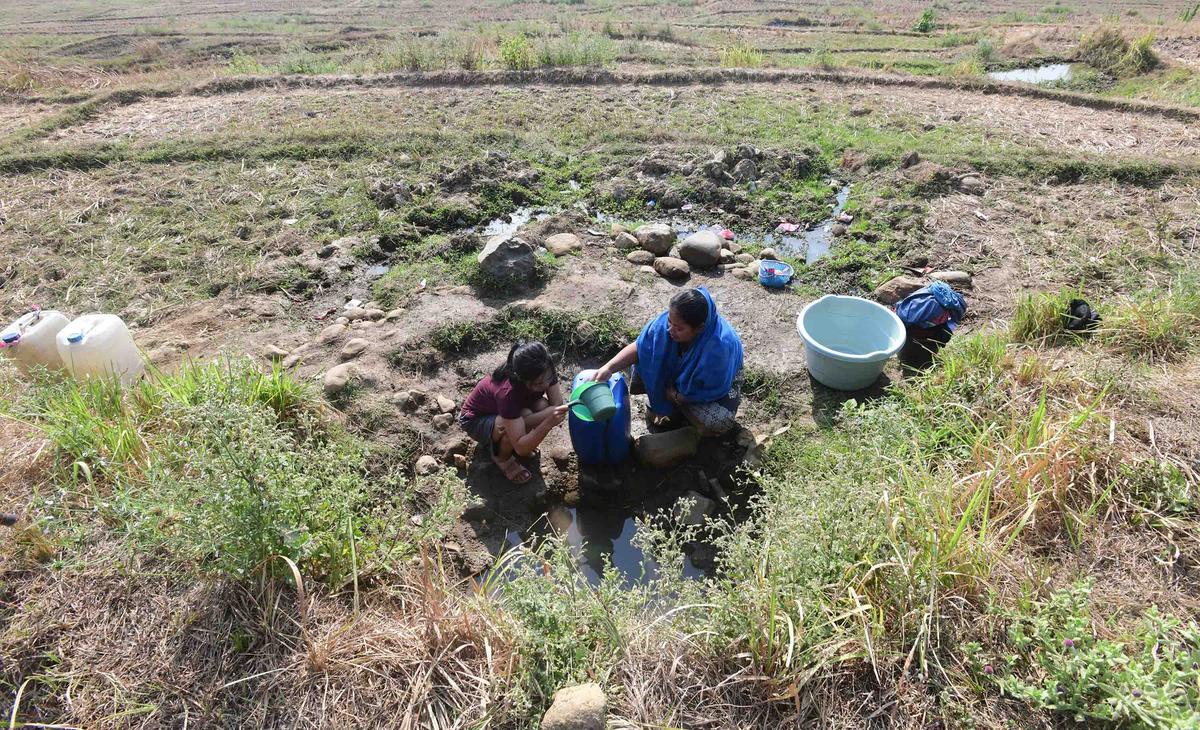 Warga Bertahan dari Kubangan Bekas Sawah di Tengah Kekeringan