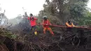 Petugas pemadam kebakaran menyemprotkan air untuk memadamkan api yang melalap lahan gambut di Kubu Raya, Kalimantan Barat, Indonesia, Selasa, 11 Agustus 2026. (Foto AP/Stefanus Taman)