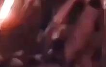 Viral! Momen Amin Rais Ajak Salaman, Kejutan Respons Prabowo