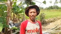 Petani Lampung Dihantui Gagal Panen di Saat Harga Gabah Tinggi
