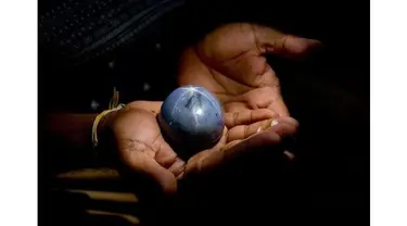 Batu safir biru terbesar di dunia berhasil ditemukan di sebuah tambang yang berada di Sri Lanka. Peneliti dari Gemmological Institute of Colombo menuturkan bahwa batu tersebut telah disertifikasi dan memecahkan rekor berat mencapai 1.404,49 karat atau set