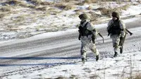 Ketegangan di Perbatasan Meningkat, Ukraina Serukan Pertemuan dengan Rusia