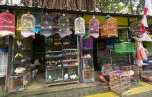 Curhat Pilu Pedagang Hewan di Pasar Barito, Punya Utang Modal Dagang Kini Terancam Direlokasi