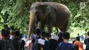 Pengunjung melihat Gajah Sumatera di kawasan Kebun Binatang Ragunan, Jakarta, Selasa (26/12). Libur cuti bersama perayaan Natal 2017 dimanfaatkan warga untuk berekreasi di Kebun Binatang Ragunan Jakarta. (Liputan6.com/Helmi Fithriansyah)