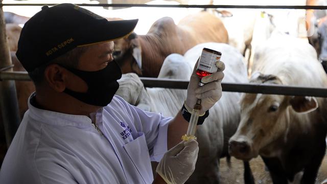 FOTO: Mencegah Penyebaran Penyakit Hewan di Depok