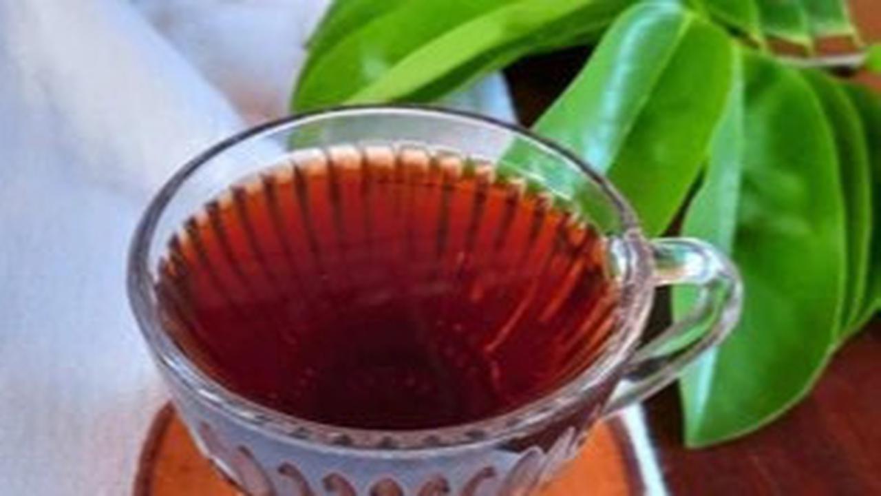 Manfaat Rebusan Daun Sirsak Untuk Pengelolaan Diabetes