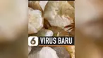 THUMBNAIL VIRUS