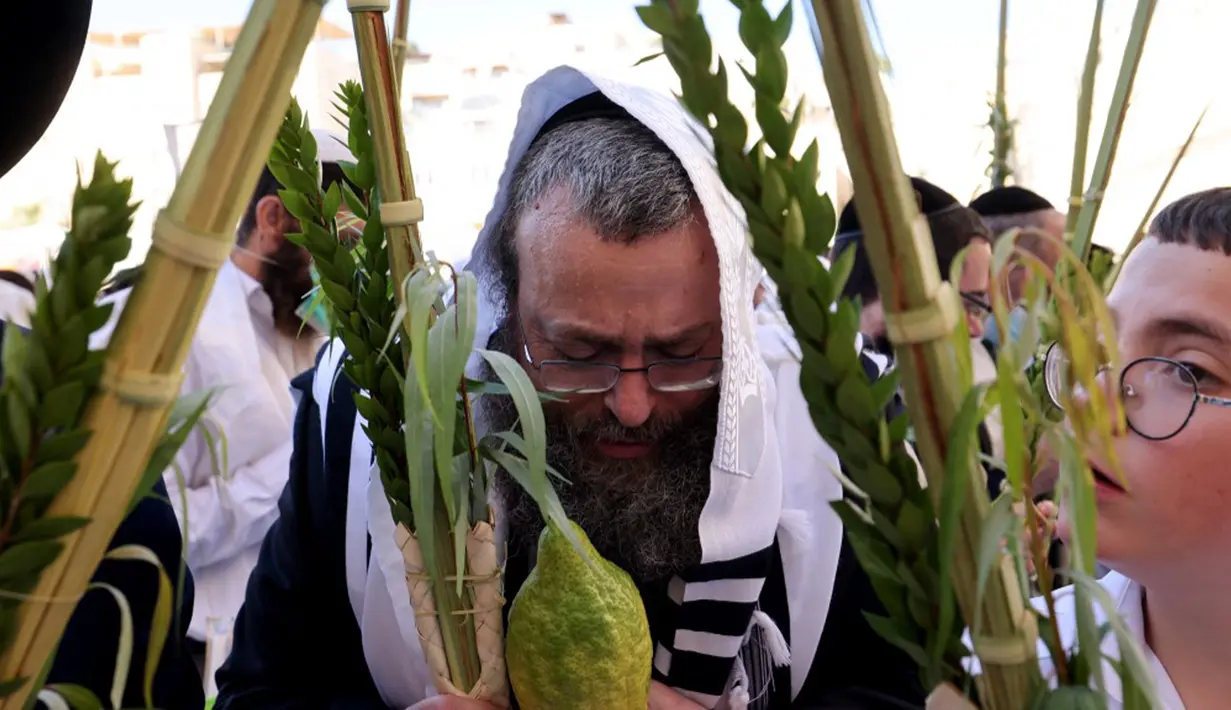 Umat Yahudi memegang daun palem, jeruk, daun pohon murad dan cabang willow saat berdoa memperingati Hari Raya Sukkot di Tembok Barat, Kota Tua Yerusalem, 22 September 2021. Sukkot adalah hari raya untuk memperingati eksodus bangsa Israel dari Mesir sekitar 3200 tahun yang lalu. (Emmanuel DUNAND/AFP)