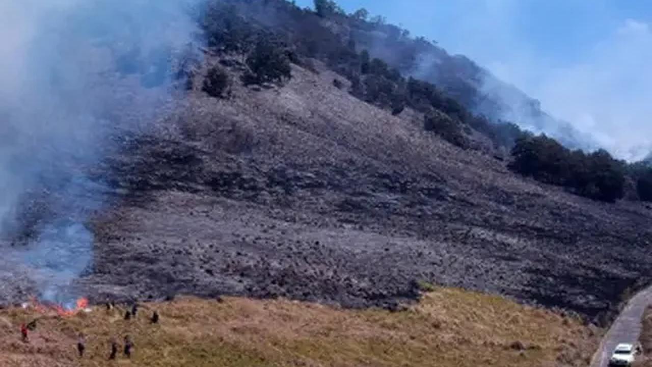 Sebagai informasi, akses wisata Gunung Bromo memiliki empat pintu masuk yakni mulai dari Probolinggo, di Desa Ngadisari, Kecamatan Sukapura, dan dari Pasuruan di Desa Wonokitri, Kecamatan Tosari.