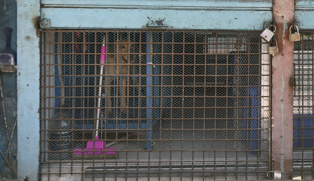 Foto pada 14 Juli 2021, seekor anjing berada dalam kandang di toko hewan peliharaan yang tutup di Dhaka, Bangladesh. Ratusan binatang mati di pasar hewan peliharaan terbesar di Dhaka setelah toko-toko terpaksa tutup saat pemerintah Bangladesh memberlakukan lockdown corona. (Munir UZ ZAMAN/AFP)