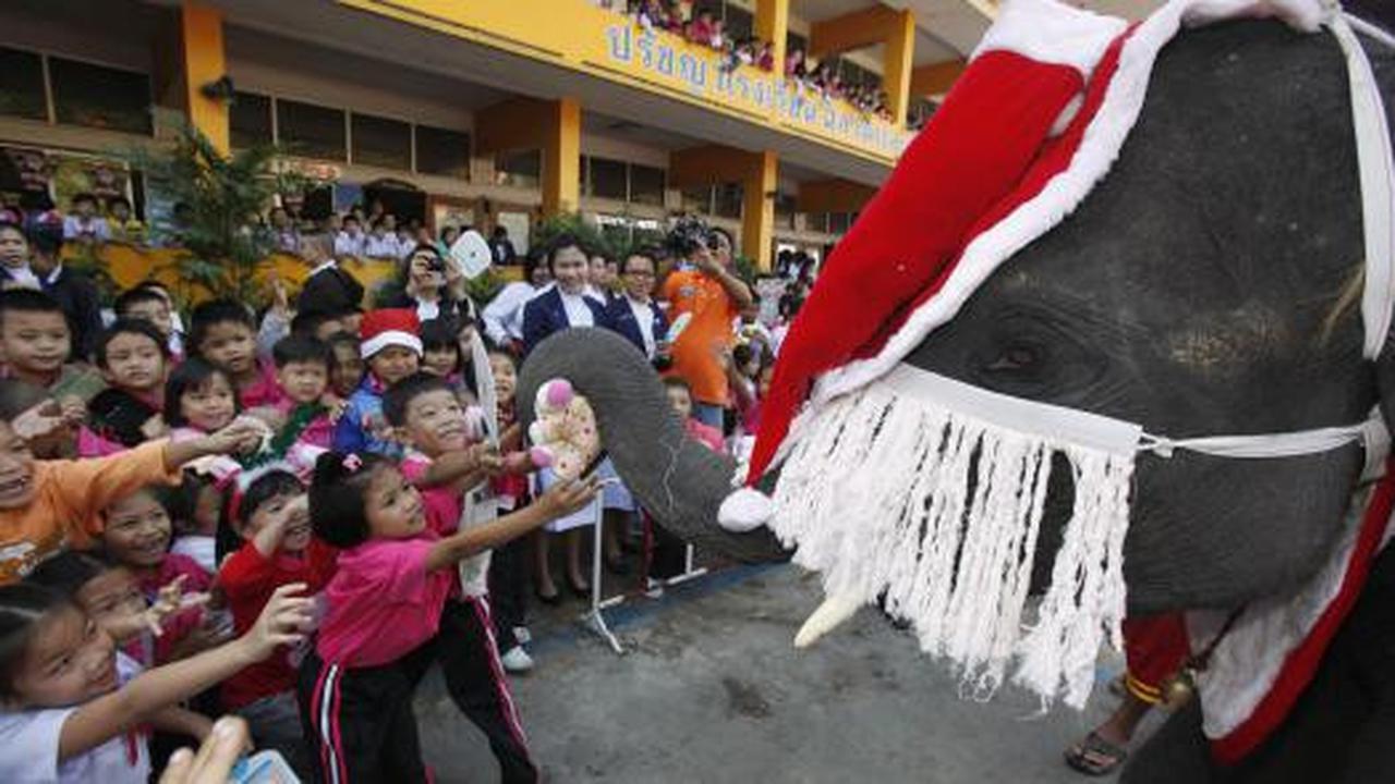 Gajah berkostum Santa Claus hibur para siswa di Bangkok