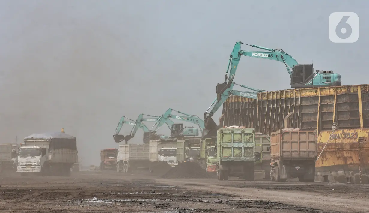 Aktivitas kendaraan alat berat saat bongkar muat batu bara di Pelabuhan PT KCN Marunda, Jakarta Utara, Rabu (5/1/2022). Pemerintah resmi melarang ekspor batubara sejak 1 Januari hingga 31 Januari 2022 mendatang. (merdeka.com/Iqbal S. Nugroho)