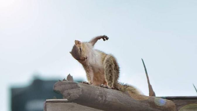 10 Momen Kebetulan Tertangkap Kamera, Hasilnya Kayak Editan. Sumber: Brightside