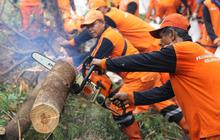 200 Petugas Bersihkan 3,6 Hektare Lahan, Ini Rencana Pengembangan Lahan RS Sumber Waras di Jakarta Barat