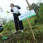 Program penghijauan BRI Menanam & BRI Menanam Grow & Green.