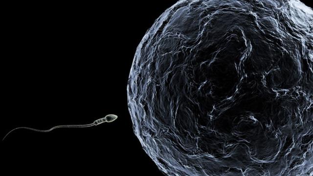 Bokep Barat Ketauan Coli - 5 Etiket Membuang Sperma - Health Liputan6.com