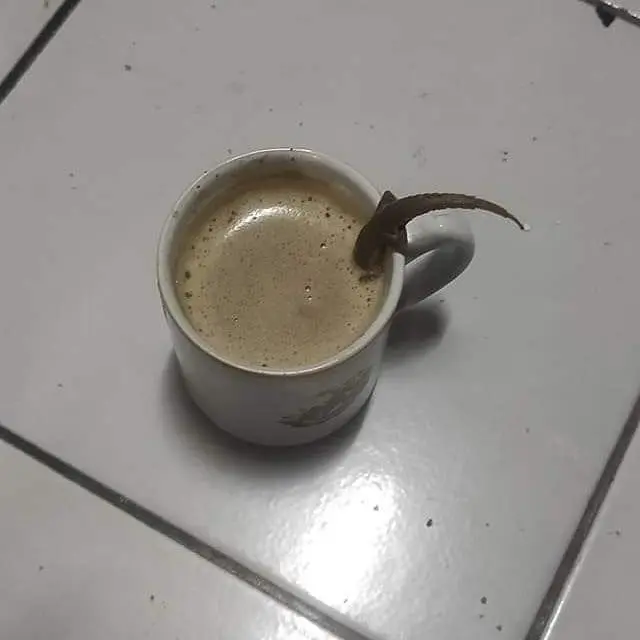 6 Potret Kopi Diminum Hewan Ini Bikin Geregetan, Apes Banget