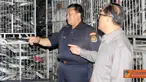 Citizen6, Jakarta: PT. KMC menyalahi periizinan karena memakai sertifikasi pelepasan makarel padahal fakta yang ditemukan di lapangan berupa ikan kembung banjar. (Pengirim: Efrimal Bahri)