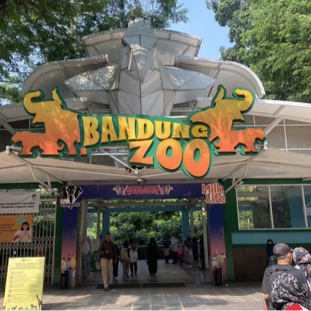 APECSI Sayangkan Pengelolaan Bandung Zoo Diserahkan ke KBS dan Ragunan, Ribuan Satwa Terancam?