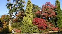 Arboretum di Kabupaten Wonosobo, Jawa Tengah, potensial dikembangkan menjadi wahana wisata alam edukatif, 