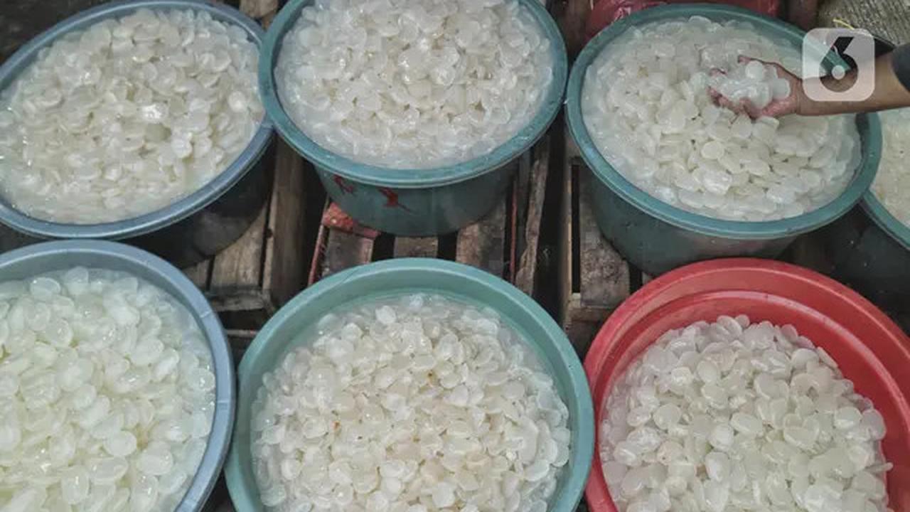 Manfaat Kolang-Kaling Rahasia Sehat Turunkan Kolesterol dan Asam Urat