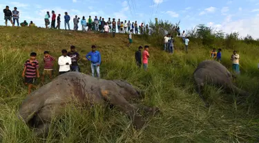 Warga berkumpul melihat dua ekor gajah yang tewas ditabrak kereta api di dekat Stasiun Thakurkhchi di pinggiran kota Guwahati, India, Minggu (19/11). Dua gajah ini bagian dari gerombolan gajah yang sedang melintas di jalur rel kereta. (Biju BORO/AFP)