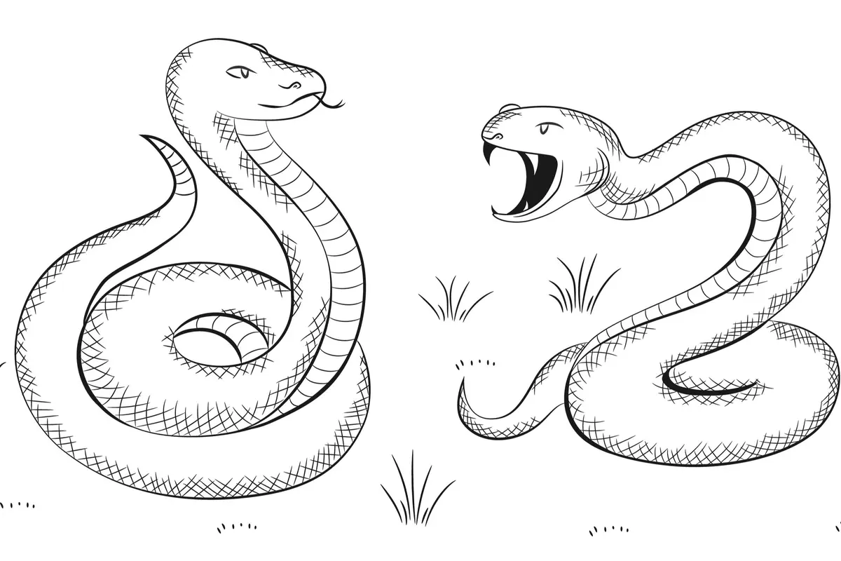 Snake