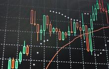 Melantai di Bursa Saham, Perusahaan Ritel Ini Bakal Ekspansi Bisnis
