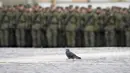 <p>Seekor merpati berjalan selama latihan untuk parade militer Hari Kemenangan Perang Dunia II di St. Petersburg, Rusia, Selasa (26/4/2022). Rusia memperingati 77 tahun kemenangan dalam Perang Dunia II dengan menggelar parade militer yang akan berlangsung di Lapangan Dvortsovaya (Istana) pada 9 Mei 2022 mendatang. (AP Photo/Dmitri Lovetsky)</p>