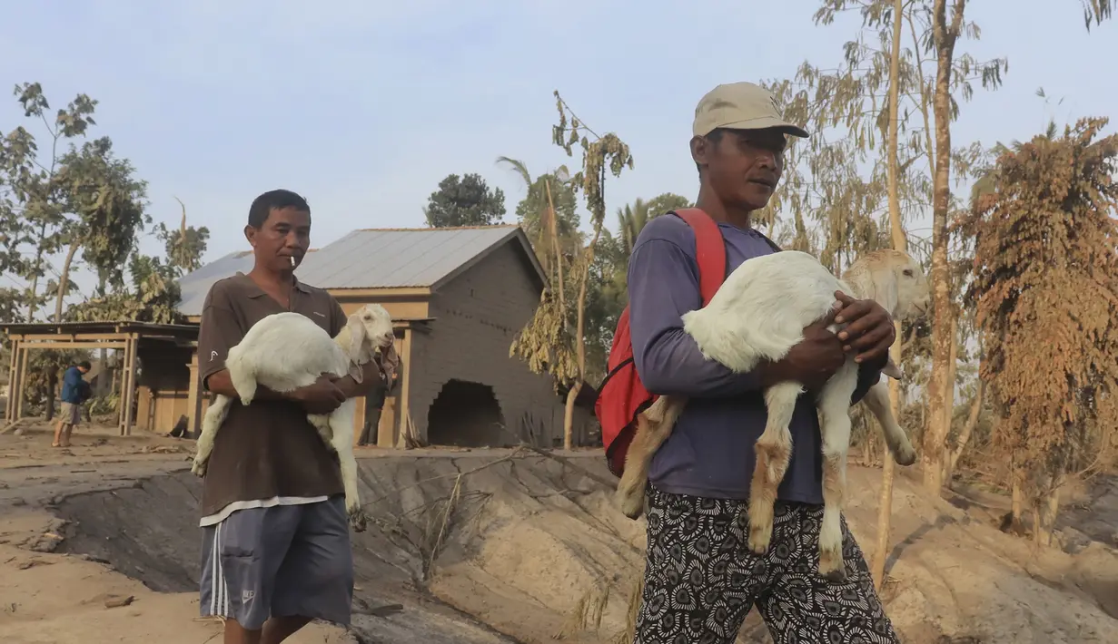 <p>Seorang pria membawa anak-anak saat mereka mengevakuasi ternak mereka dari desa yang terkena dampak letusan Gunung Semeru di Kajar Kuning, Lumajang, Jawa Timur, Indonesia, Senin, 5 Desember 2022. (AP Photo/Imanuel Yoga)</p>